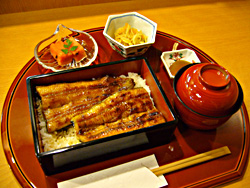 季節のおすすめ